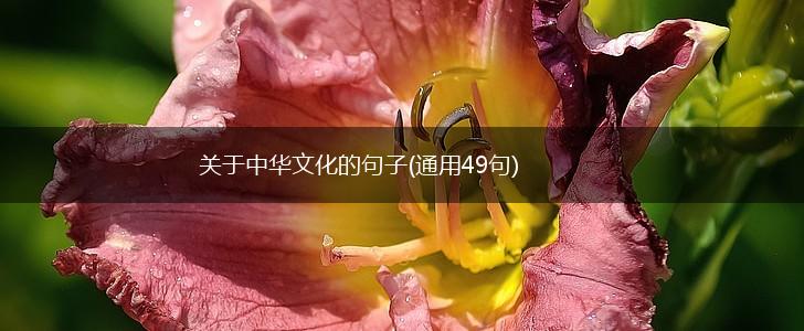 关于中华文化的句子(通用49句),第1张
