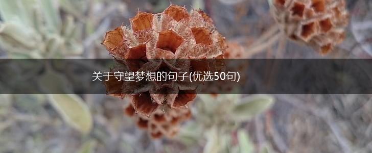 关于守望梦想的句子(优选50句),第1张
