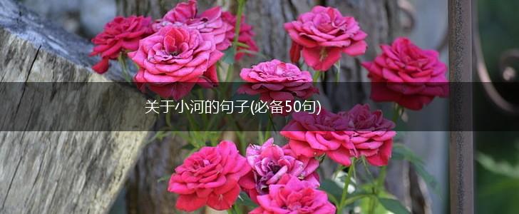 关于小河的句子(必备50句),第1张