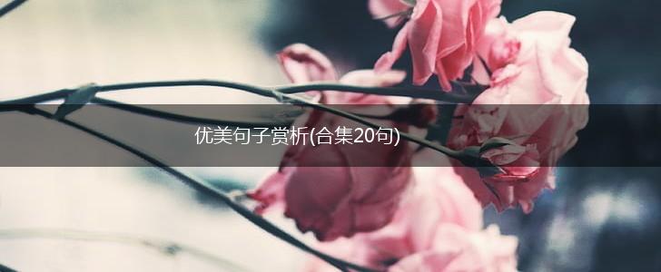优美句子赏析(合集20句),第1张