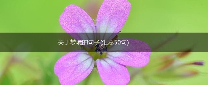 关于梦境的句子(汇总50句),第1张