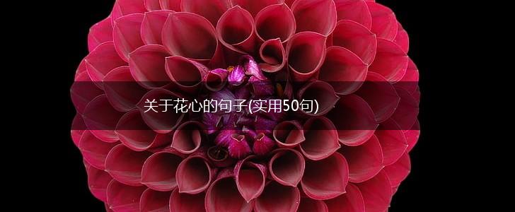 关于花心的句子(实用50句),第1张