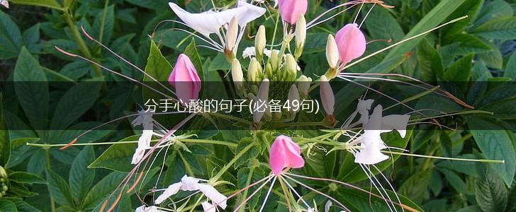 分手心酸的句子(必备49句),第1张