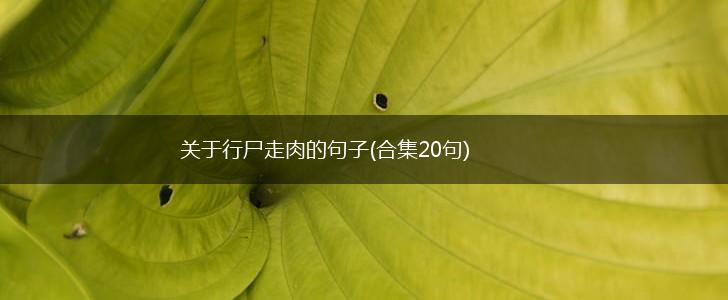 关于行尸走肉的句子(合集20句),第1张