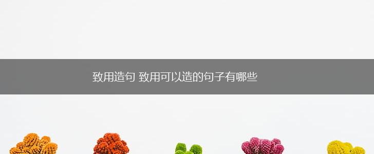 致用造句 致用可以造的句子有哪些,第1张