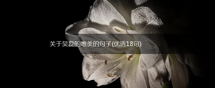 关于吴磊的唯美的句子(优选18句),第1张