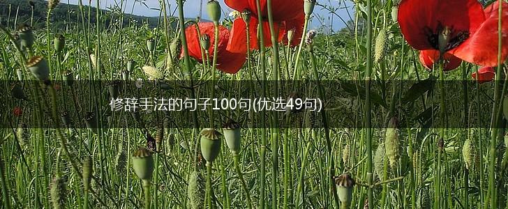 修辞手法的句子100句(优选49句),第1张