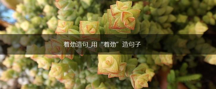 着劲造句_用“着劲”造句子,第1张