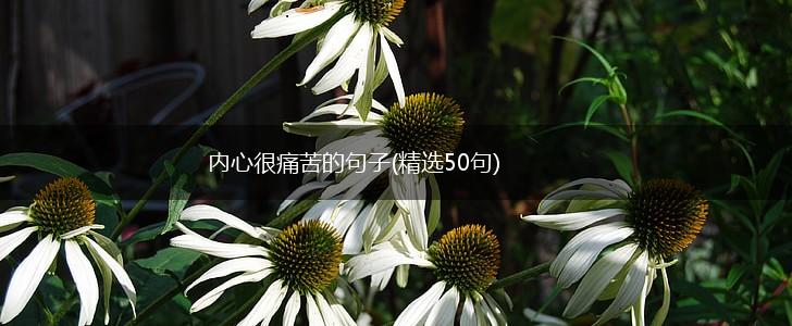 内心很痛苦的句子(精选50句),第1张