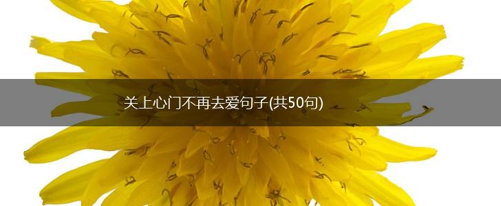 关上心门不再去爱句子(共50句),第1张