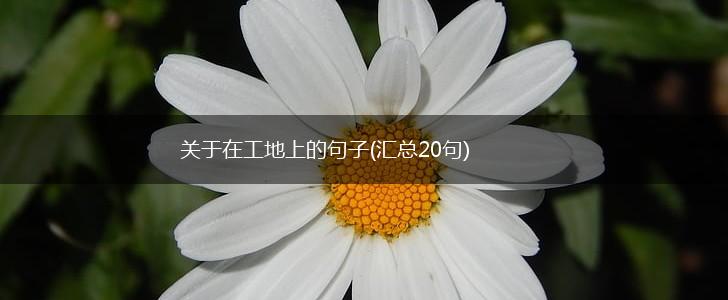 关于在工地上的句子(汇总20句),第1张