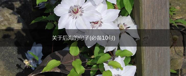 关于后海的句子(必备10句),第1张