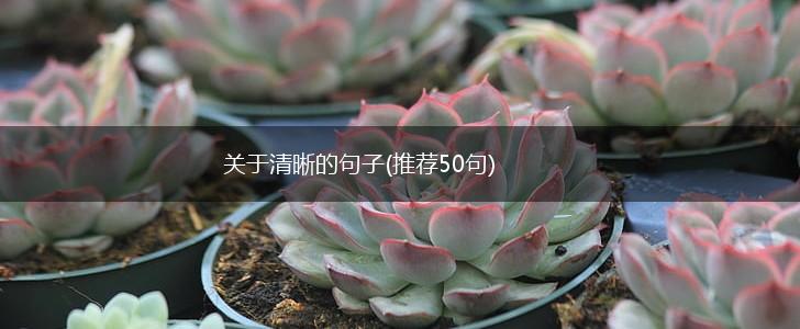 关于清晰的句子(推荐50句),第1张