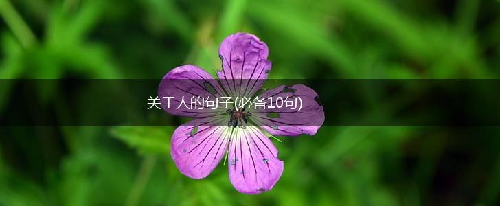 关于人的句子(必备10句),第1张