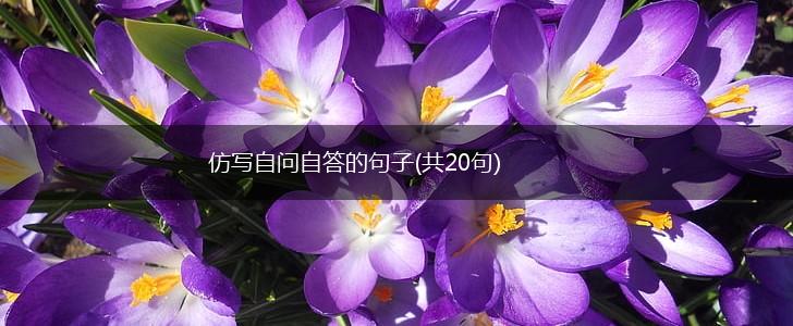 仿写自问自答的句子(共20句),第1张