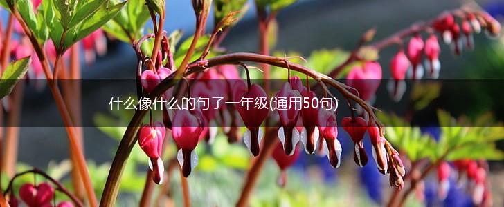 什么像什么的句子一年级(通用50句),第1张