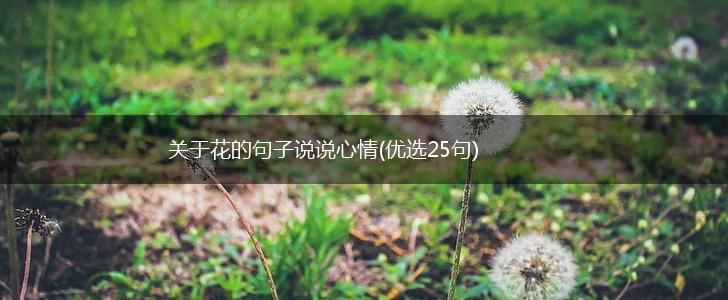 关于花的句子说说心情(优选25句),第1张