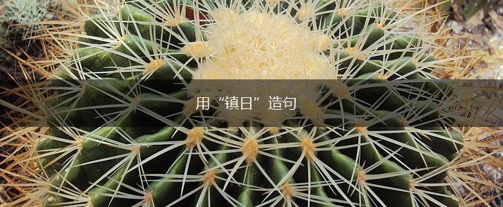 用“镇日”造句,第1张