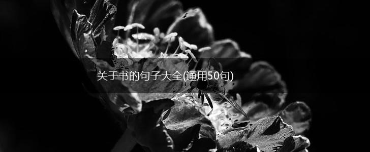 关于书的句子大全(通用50句),第1张