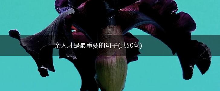 亲人才是最重要的句子(共50句),第1张