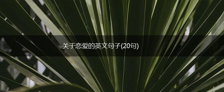 关于恋爱的英文句子(20句),第1张