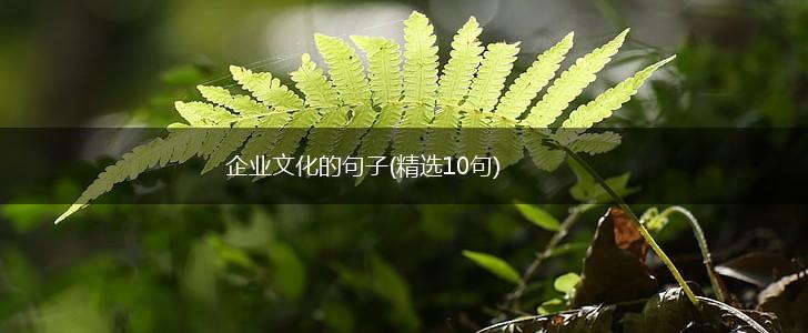 企业文化的句子(精选10句),第1张