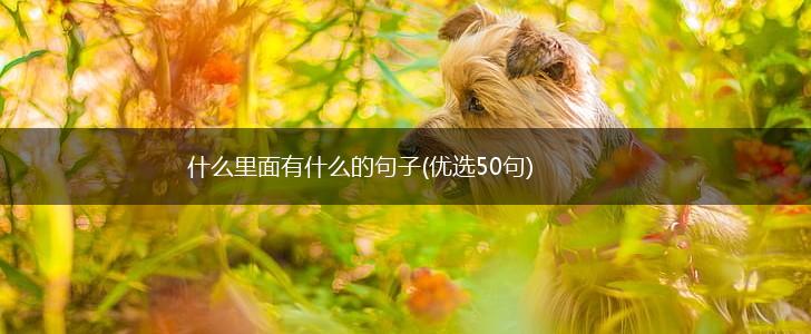 什么里面有什么的句子(优选50句),第1张