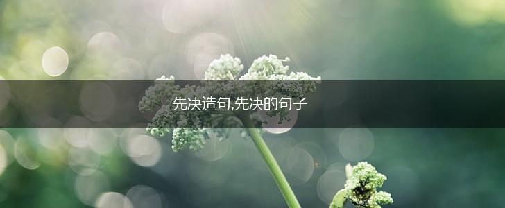 先决造句,先决的句子,第1张