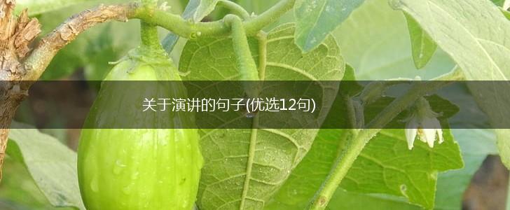 关于演讲的句子(优选12句),第1张