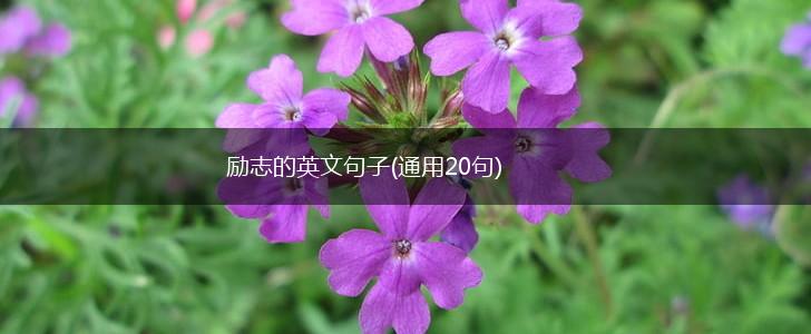 励志的英文句子(通用20句),第1张