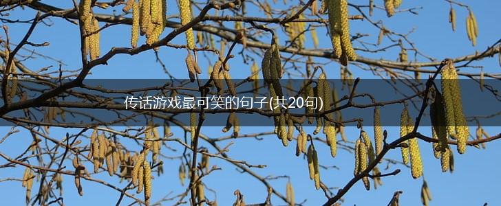 传话游戏最可笑的句子(共20句),第1张