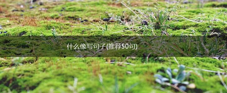 什么像写句子(推荐50句),第1张