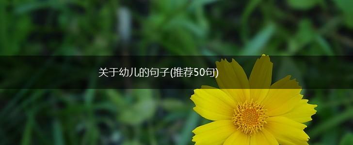 关于幼儿的句子(推荐50句),第1张
