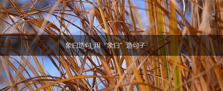 象白造句_用“象白”造句子,第1张