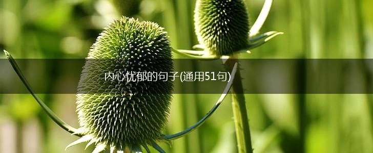 内心忧郁的句子(通用51句),第1张