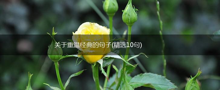 关于重温经典的句子(精选10句),第1张