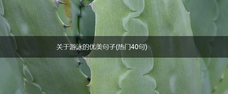 关于游泳的优美句子(热门40句),第1张