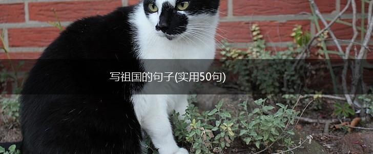 写祖国的句子(实用50句),第1张
