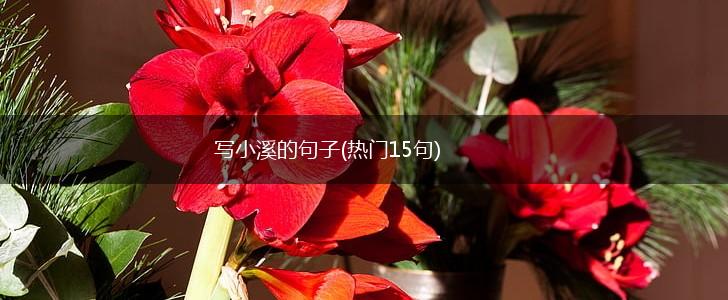 写小溪的句子(热门15句),第1张