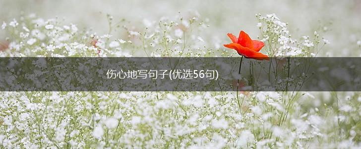 伤心地写句子(优选56句),第1张