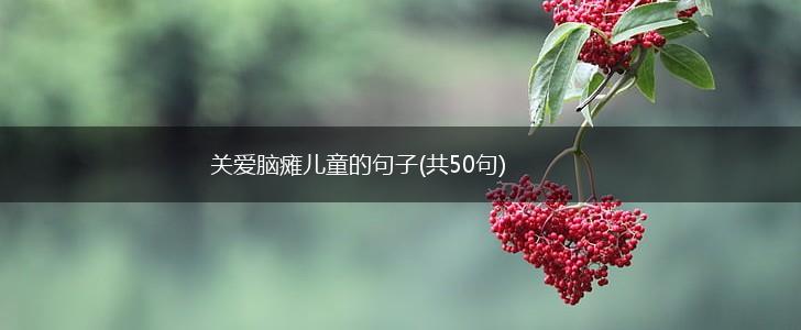 关爱脑瘫儿童的句子(共50句),第1张