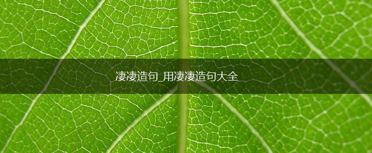 凄凄造句_用凄凄造句大全,第1张
