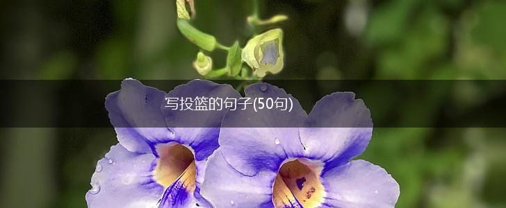 写投篮的句子(50句),第1张