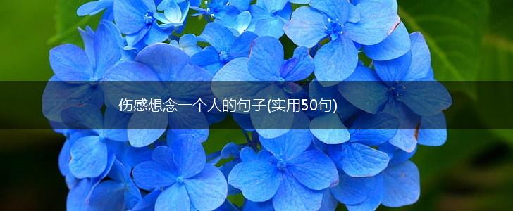 伤感想念一个人的句子(实用50句),第1张