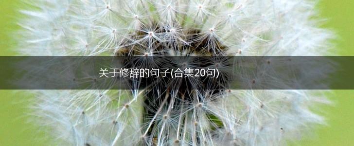 关于修辞的句子(合集20句),第1张