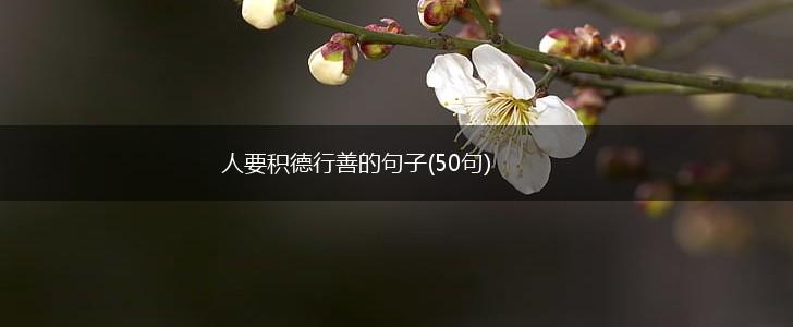 人要积德行善的句子(50句),第1张