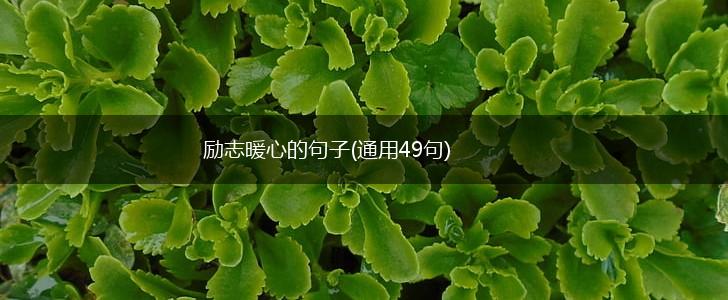 励志暖心的句子(通用49句),第1张