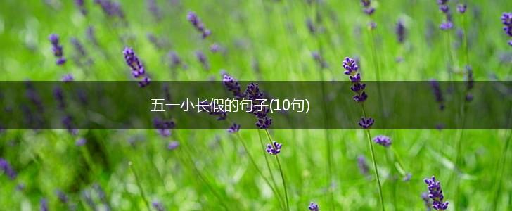 五一小长假的句子(10句),第1张