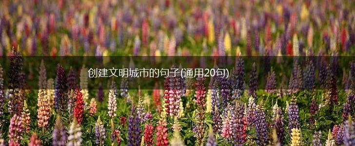 创建文明城市的句子(通用20句),第1张