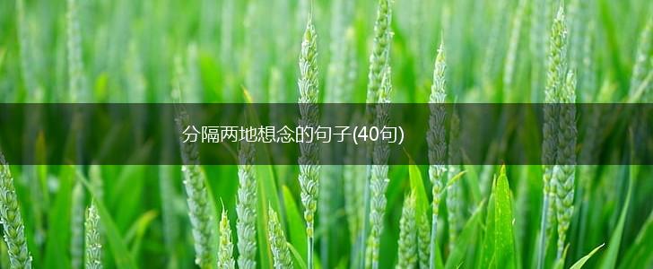 分隔两地想念的句子(40句),第1张